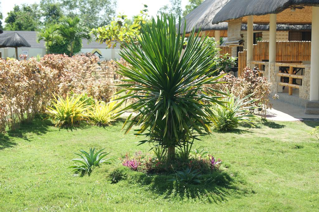 Panglao Homes Resort & Villas Bohol Exterior photo